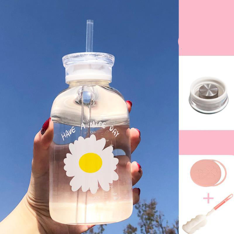 Glass Water Bottle with Straw Creative Daisy Frosted Transparent Cup Leakproof Portable Drinking Bottle with a Sealing Cap Lid