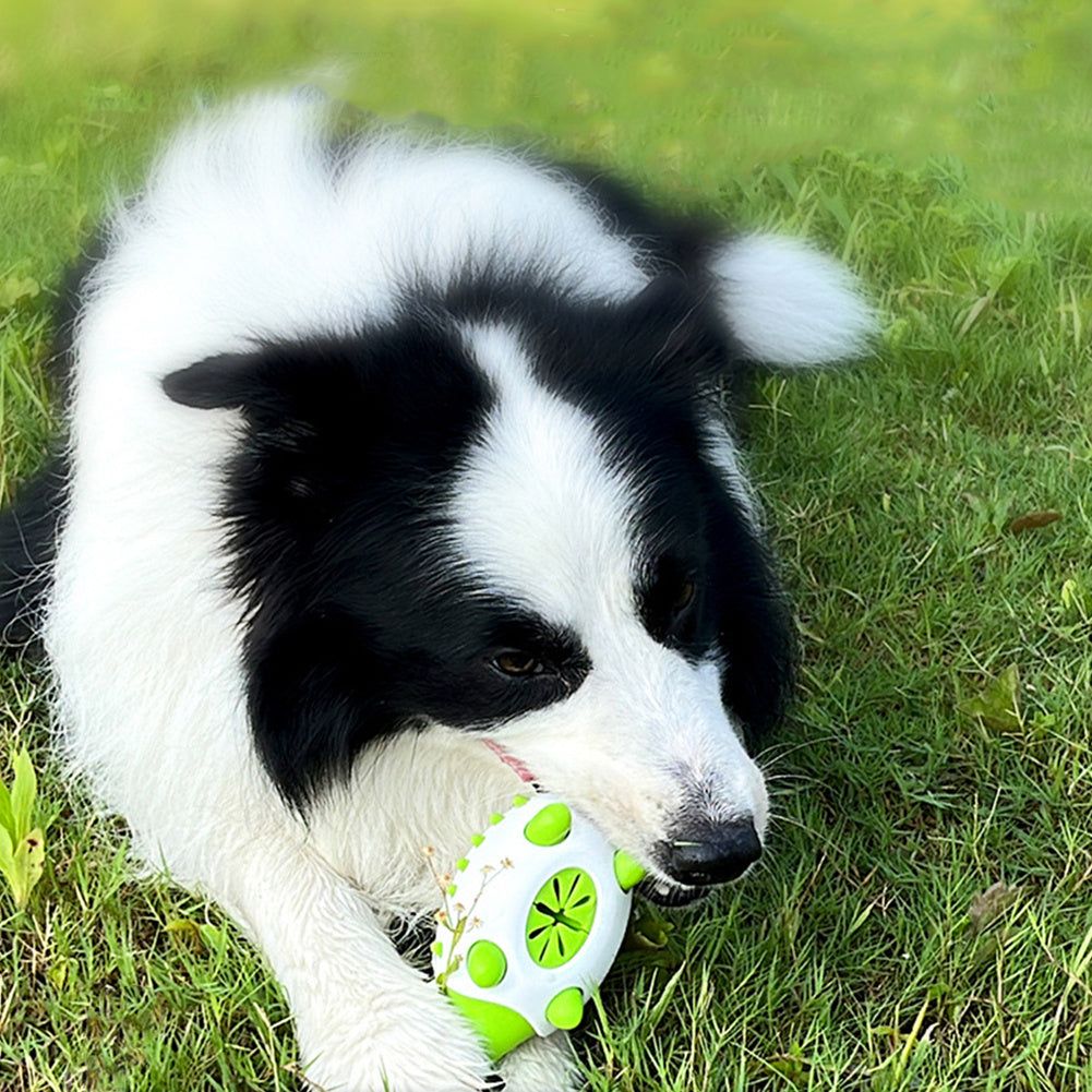 Pet Dog Toy Interactive TPR Leaking Food Toys For Small Large Dogs Cat Chewing Toys